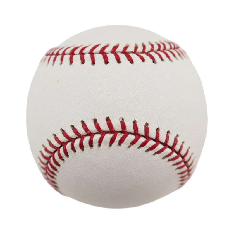 Boston Red Sox 2004 World Series Official Logo Baseball (6)