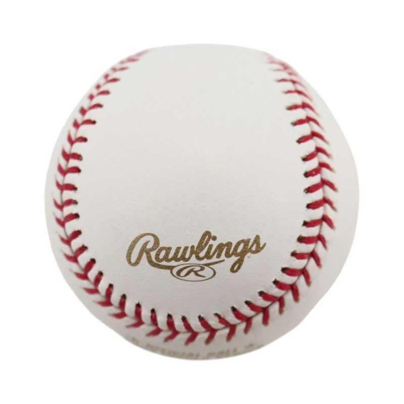 Boston Red Sox 2004 World Series Official Logo Baseball (6)