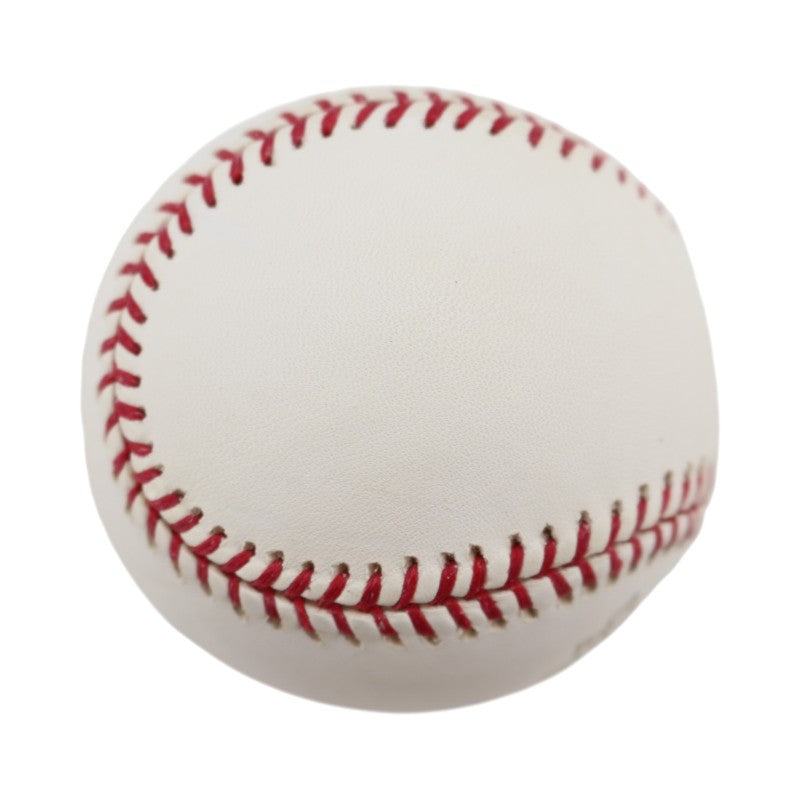 Boston Red Sox 2004 World Series Official Logo Baseball (7)