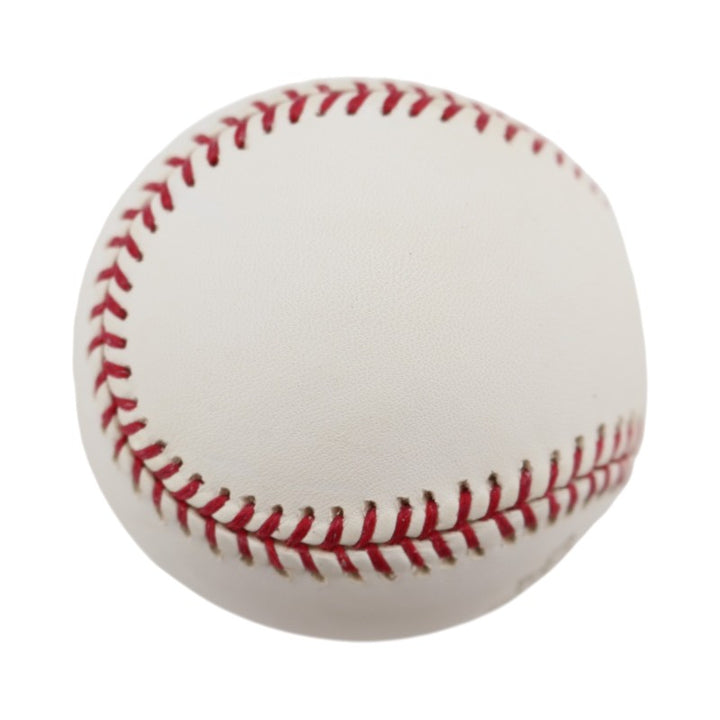 Boston Red Sox 2004 World Series Official Logo Baseball (7)