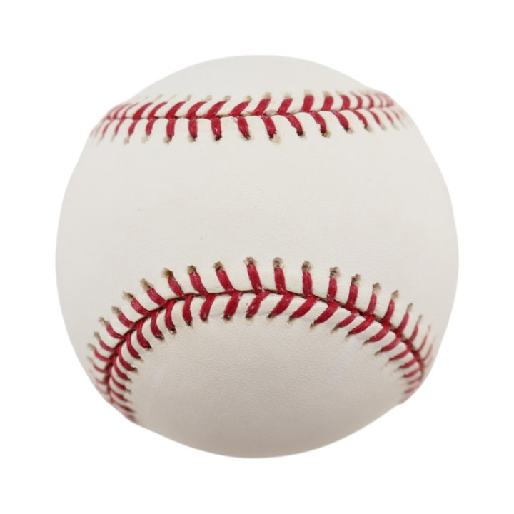 Boston Red Sox 2004 World Series Official Logo Baseball (7)