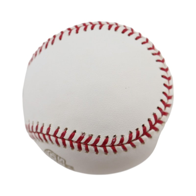 Boston Red Sox 2004 World Series Official Logo Baseball (8)