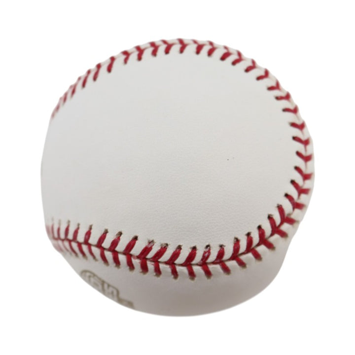 Boston Red Sox 2004 World Series Official Logo Baseball (8)