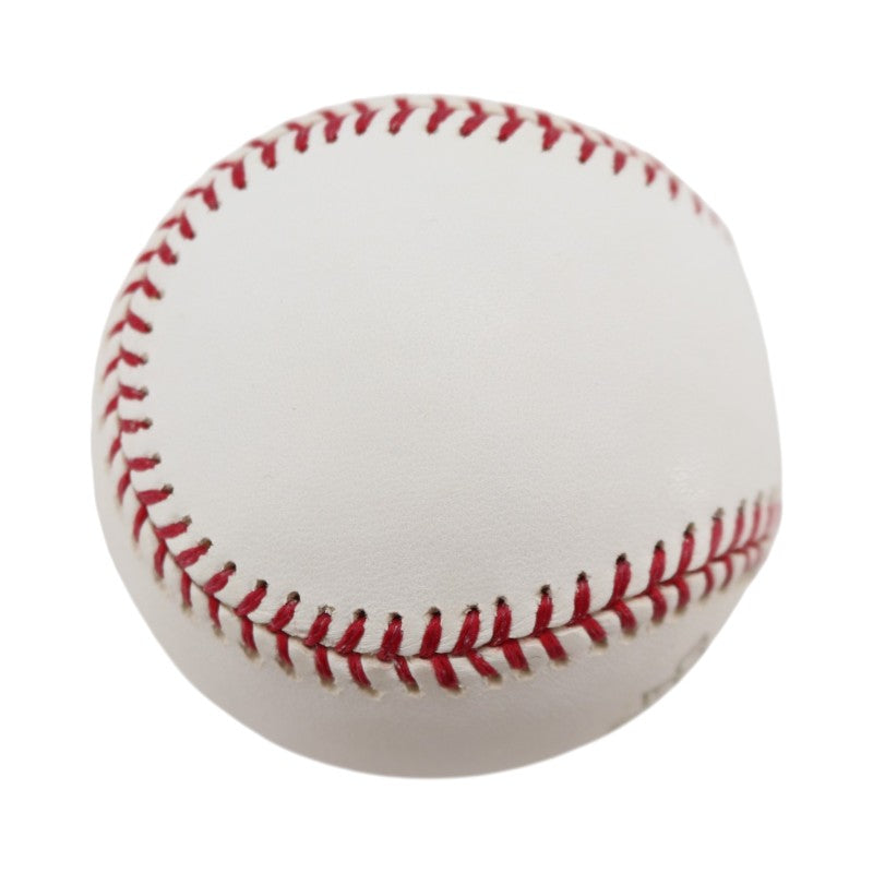 Boston Red Sox 2004 World Series Official Logo Baseball (8)