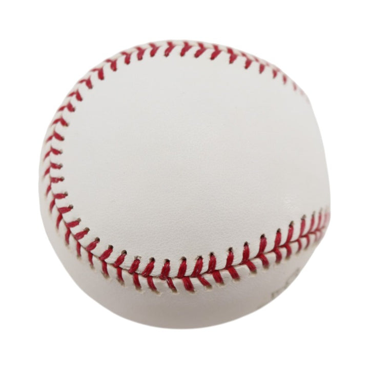 Boston Red Sox 2004 World Series Official Logo Baseball (8)