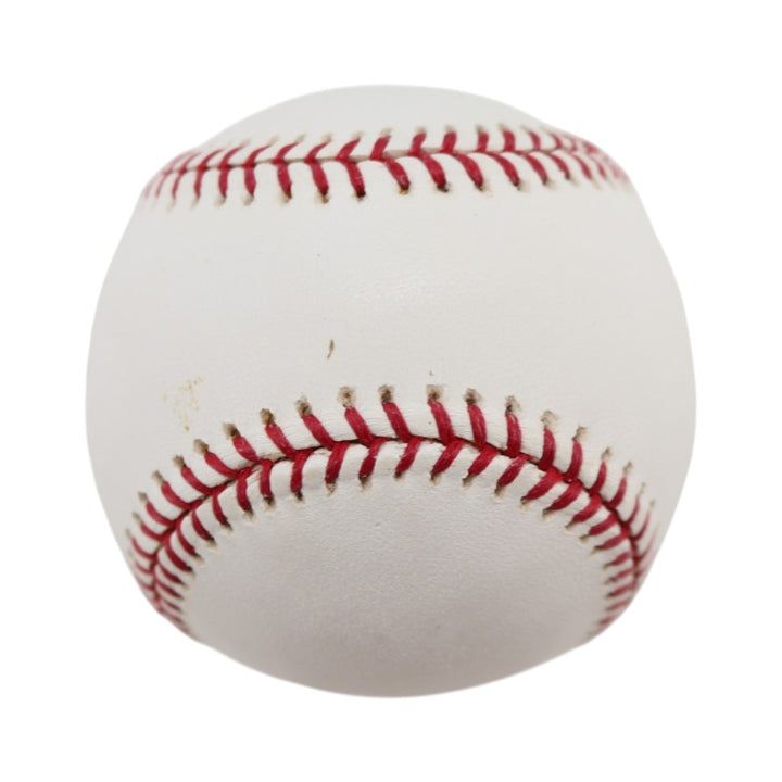 Boston Red Sox 2004 World Series Official Logo Baseball (8)