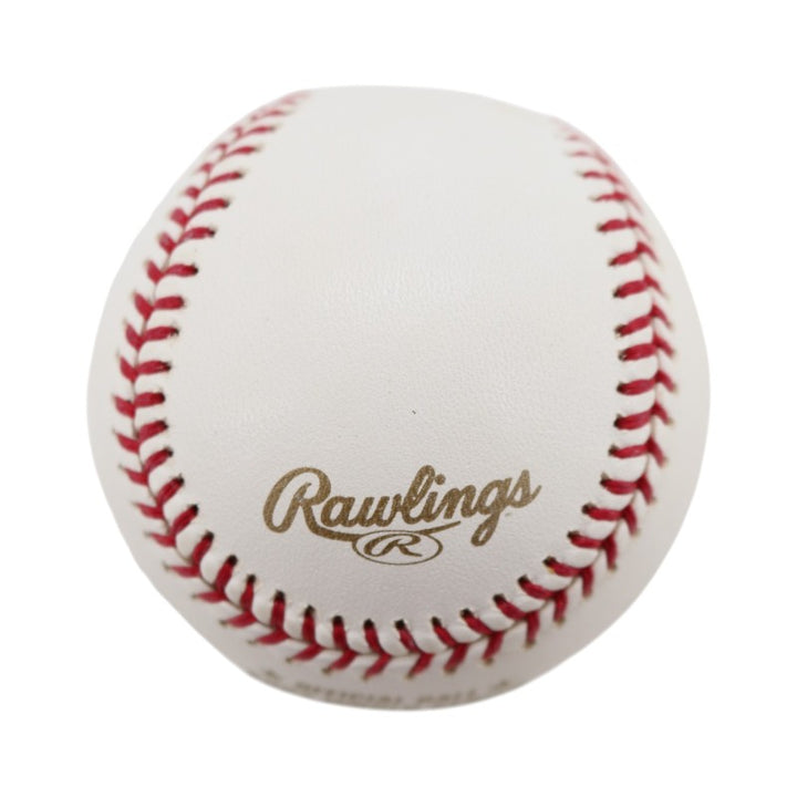 Boston Red Sox 2004 World Series Official Logo Baseball (8)