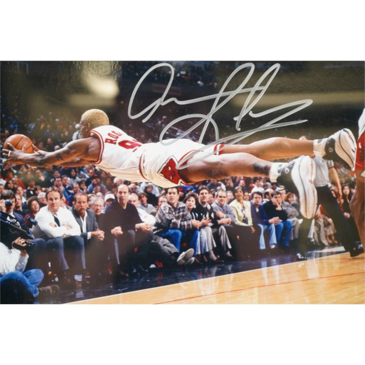 Dennis Rodman Chicago Bulls Autographed Framed 8x10 Photo Steiner COA