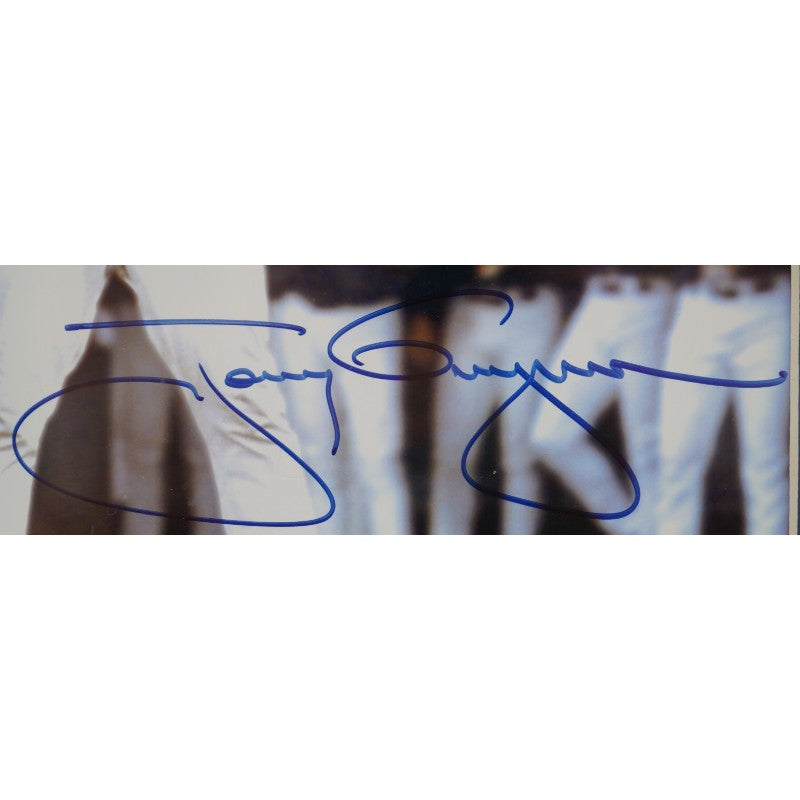 Tony Gwynn San Diego Padres Autographed Framed 8x10 Photo Steiner COA