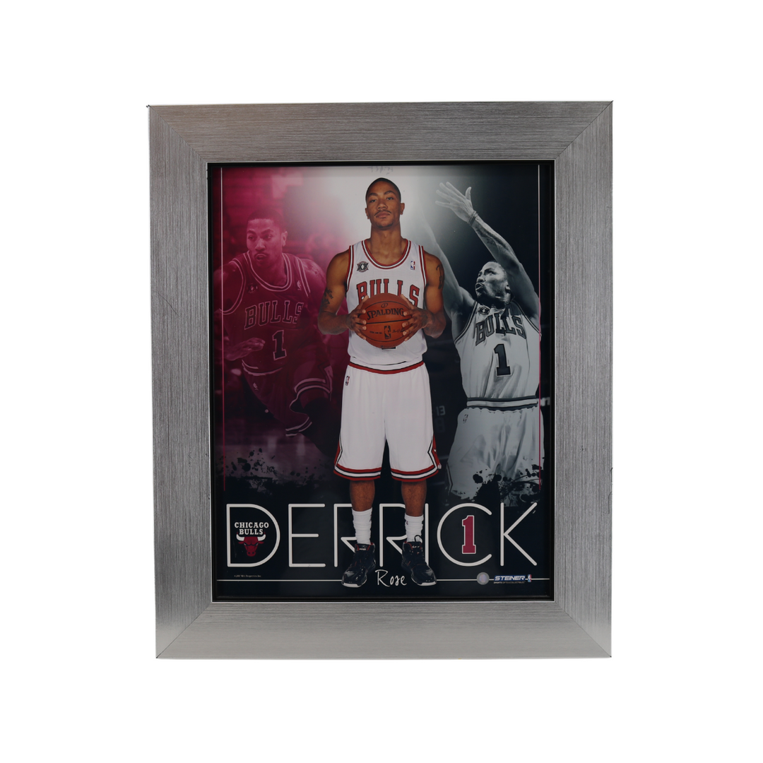 Derrick Rose Chicago Bulls Framed 10.5x13.5 Photo