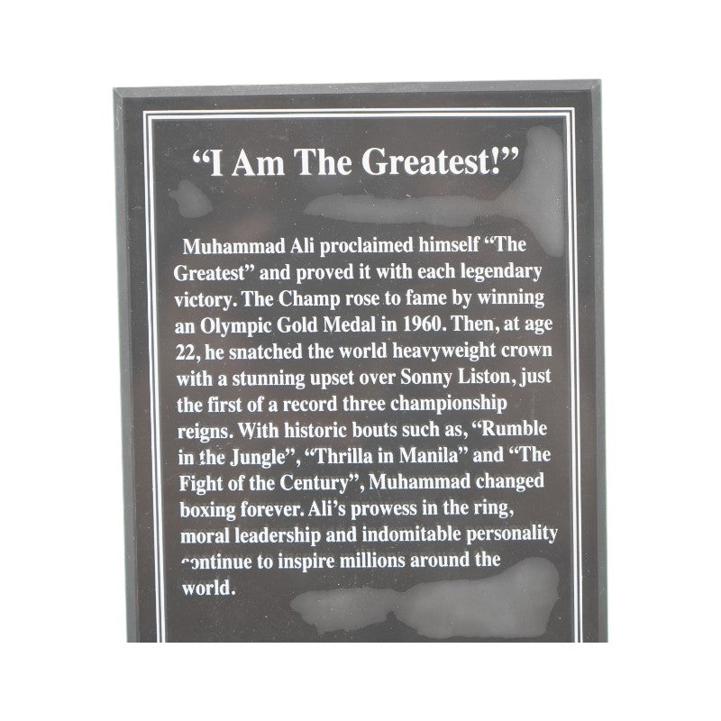 Muhammed Ali Danbury Mint The Greatest Sculpture LE/5022 Danbury Mint COA