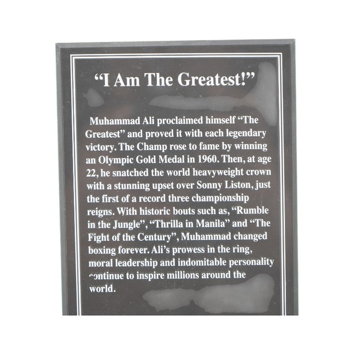 Muhammed Ali Danbury Mint The Greatest Sculpture LE/5022 Danbury Mint COA