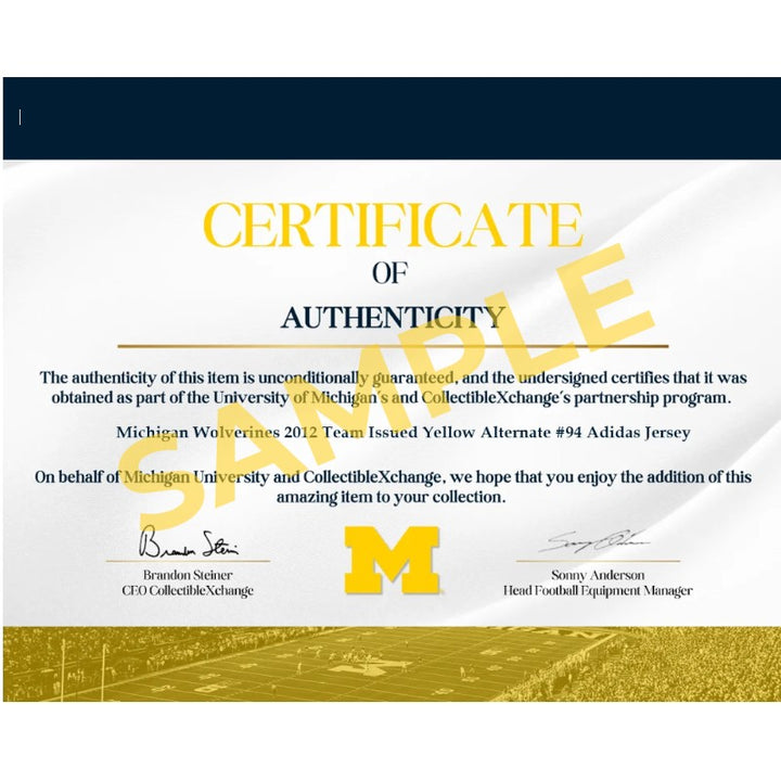 University of Michigan Authentic Piece of Michigan Stadium Endzone Turf with Glass Case