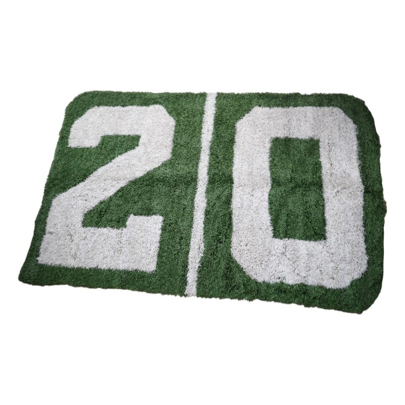 University of Michigan Authentic '20' Yard Line- No Arrow Game Used Michigan Stadium  87" x 135" Field Section