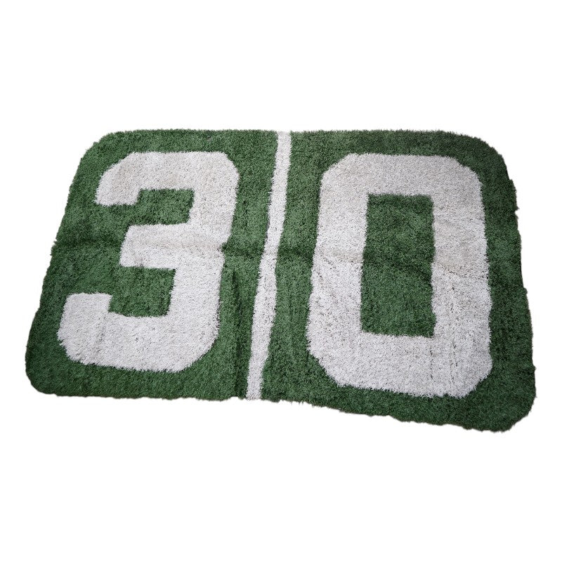 University of Michigan Authentic '30' Yard Line- No Arrow Game Used Michigan Stadium  85" x 140" Field Section