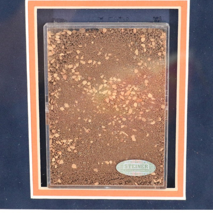 David Wright New York Mets Game Used Dirt & Lineup Card Collage Steiner Holo