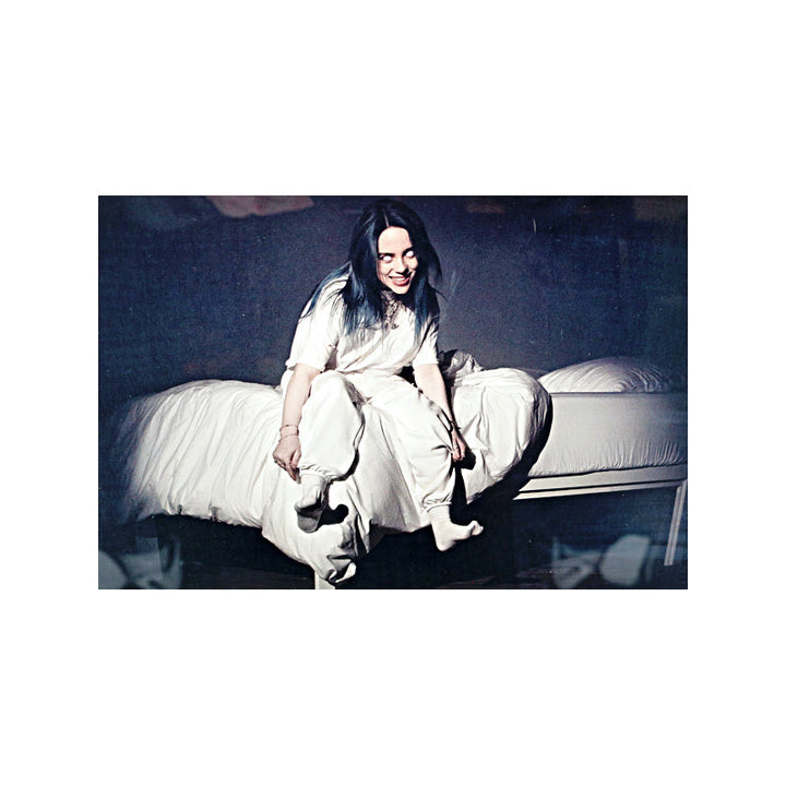 Billie Eilish When We All Fall Asleep, Where Do We Go Vinyl Record Framed Collage