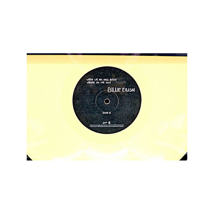 Billie Eilish When We All Fall Asleep, Where Do We Go Vinyl Record Framed Collage