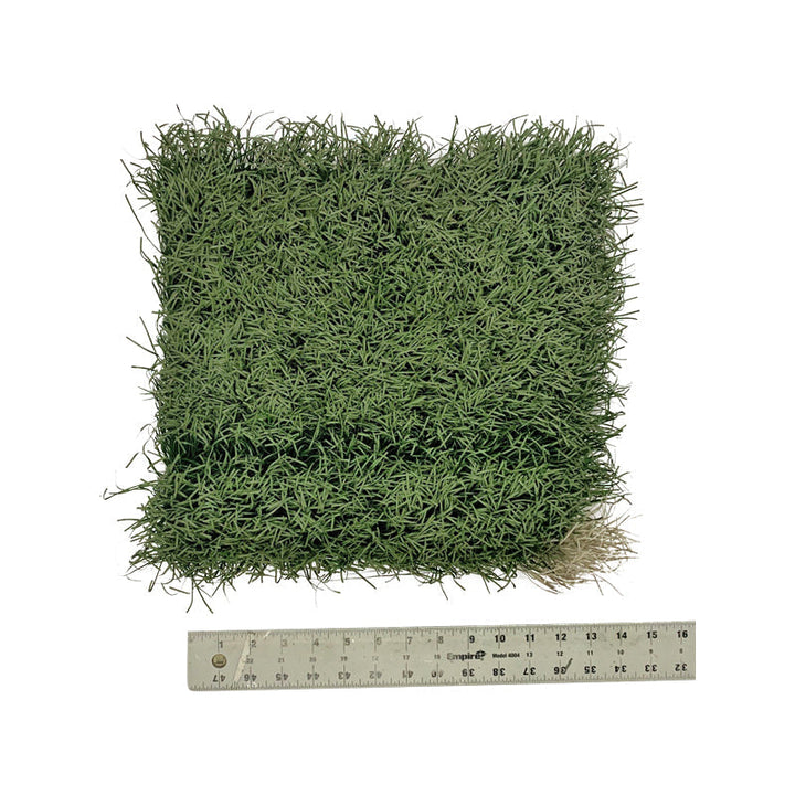 Ohio State 1' x 1' Piece of Authentic Ohio Stadium Green Turf
