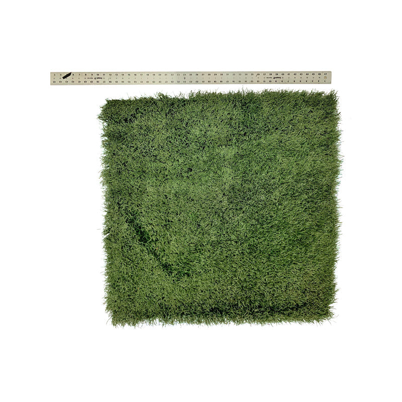 Ohio State 3' x 3' Piece of Authentic Ohio Stadium Green Turf