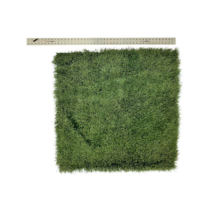 Ohio State 3' x 3' Piece of Authentic Ohio Stadium Green Turf