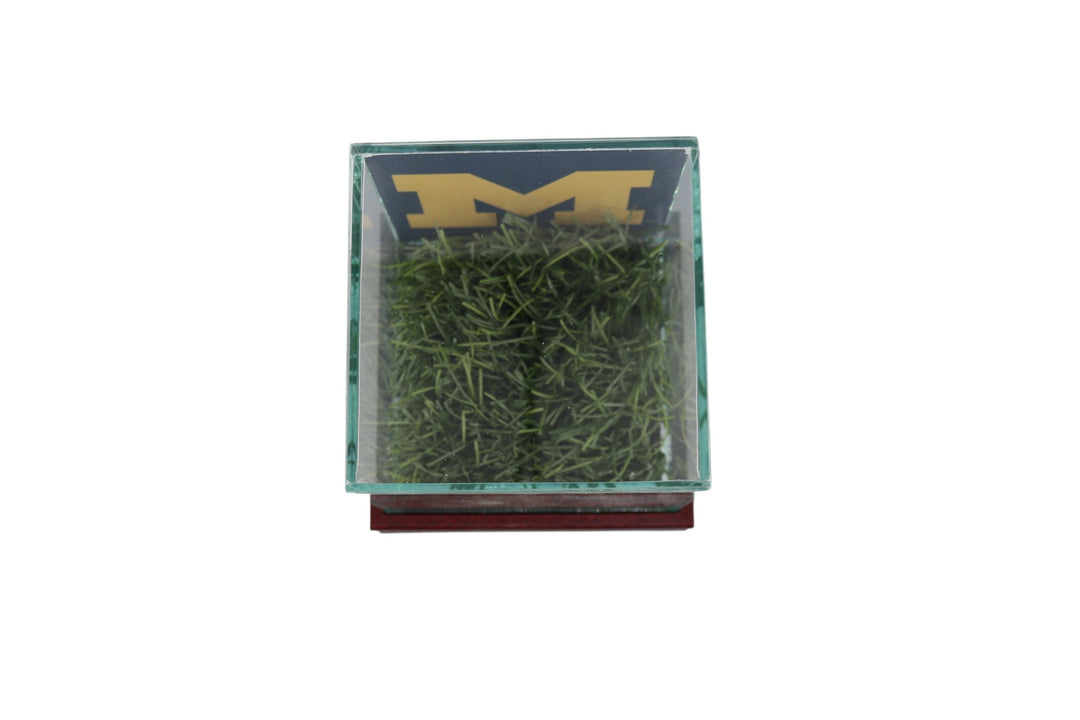 University of Michigan Authentic Piece of Michigan Stadium Turf with Case (Pre-Order)