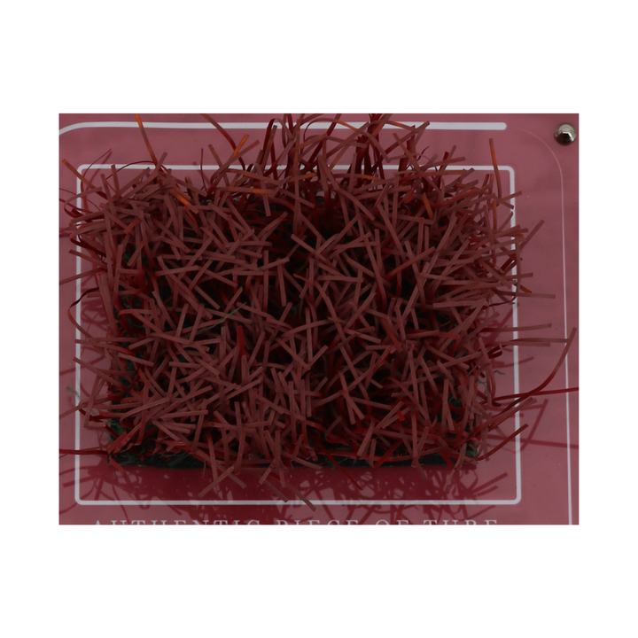 Indiana University Authentic Piece of Memorial Stadium Turf Plaque