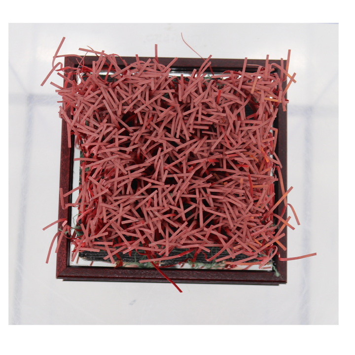 Indiana University Authentic Piece of Memorial Stadium Turf in Glass Display Case