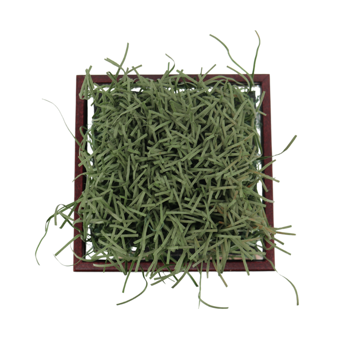 Indiana University Authentic Piece of Memorial Stadium Turf in Glass Display Case