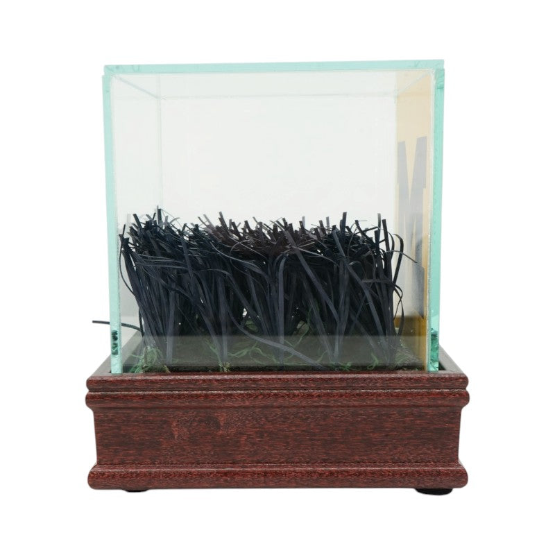 University of Michigan Authentic Piece of Michigan Stadium Endzone Turf with Glass Case