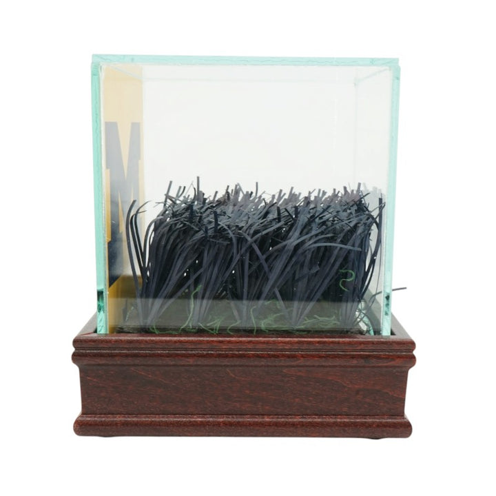 University of Michigan Authentic Piece of Michigan Stadium Endzone Turf with Glass Case