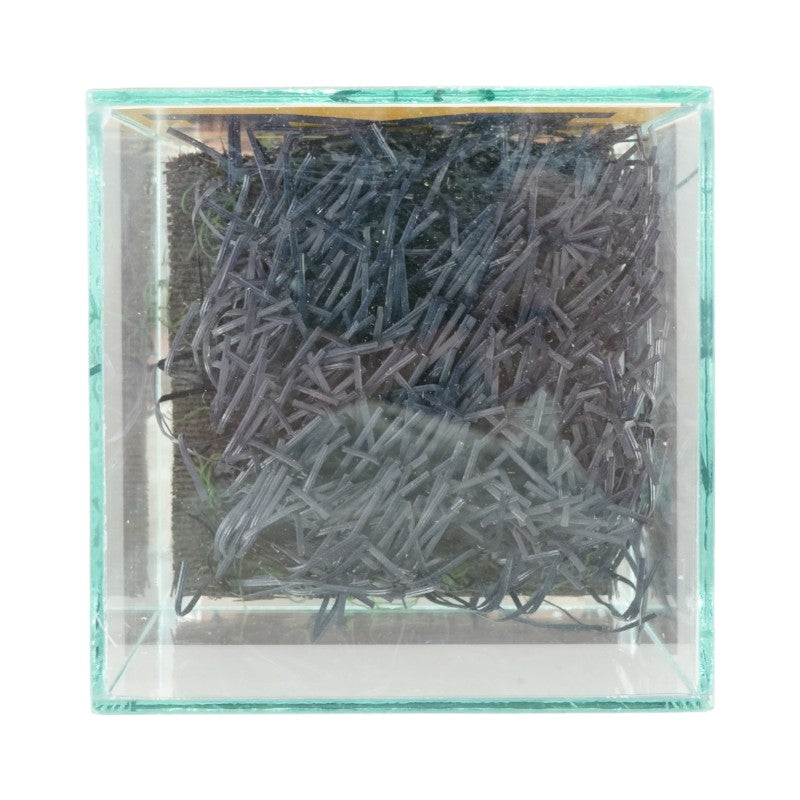 University of Michigan Authentic Piece of Michigan Stadium Endzone Turf with Glass Case