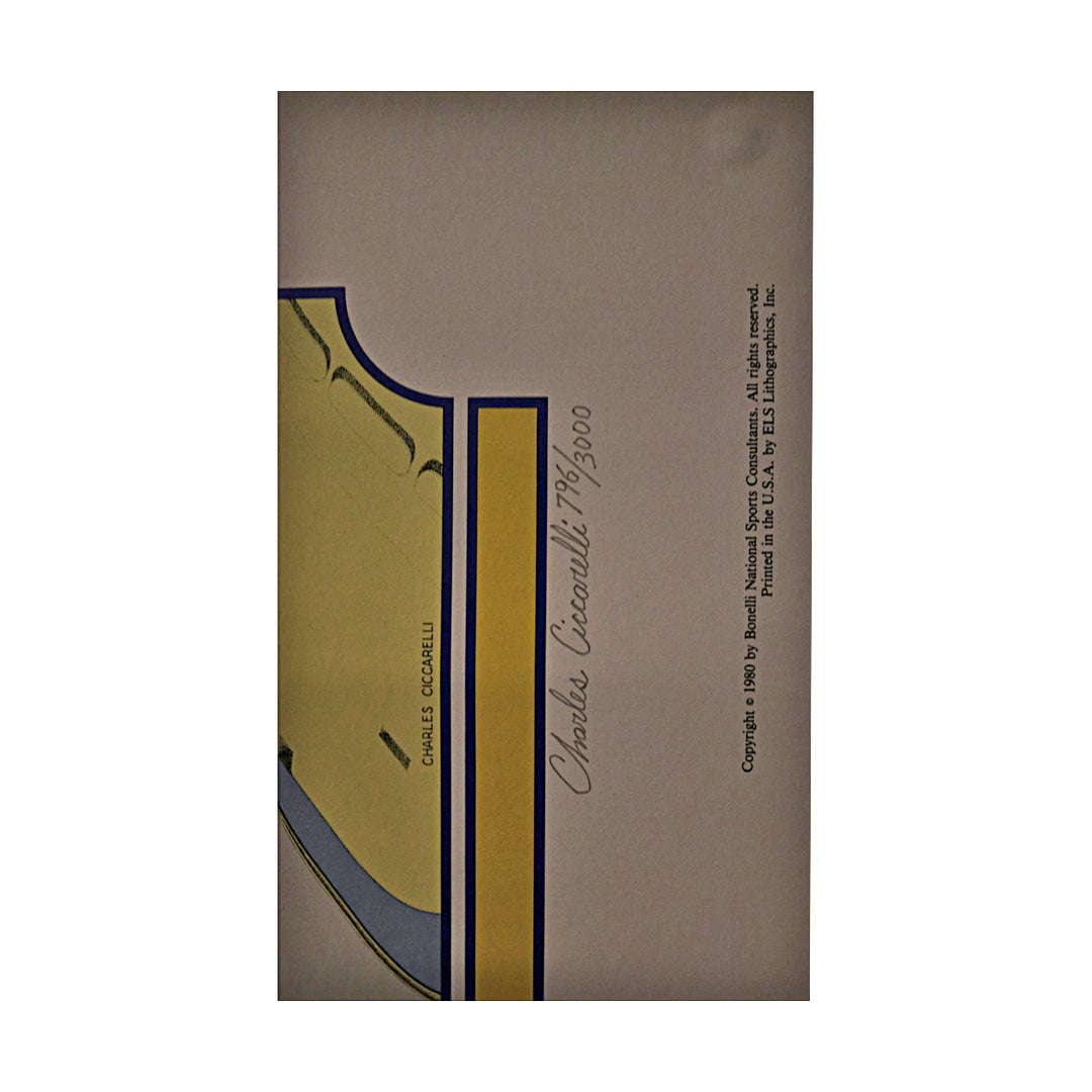 Michigan Defeats Ohio State 24 12, Nov 22 1969 20x24 Art Print LE 796/3000