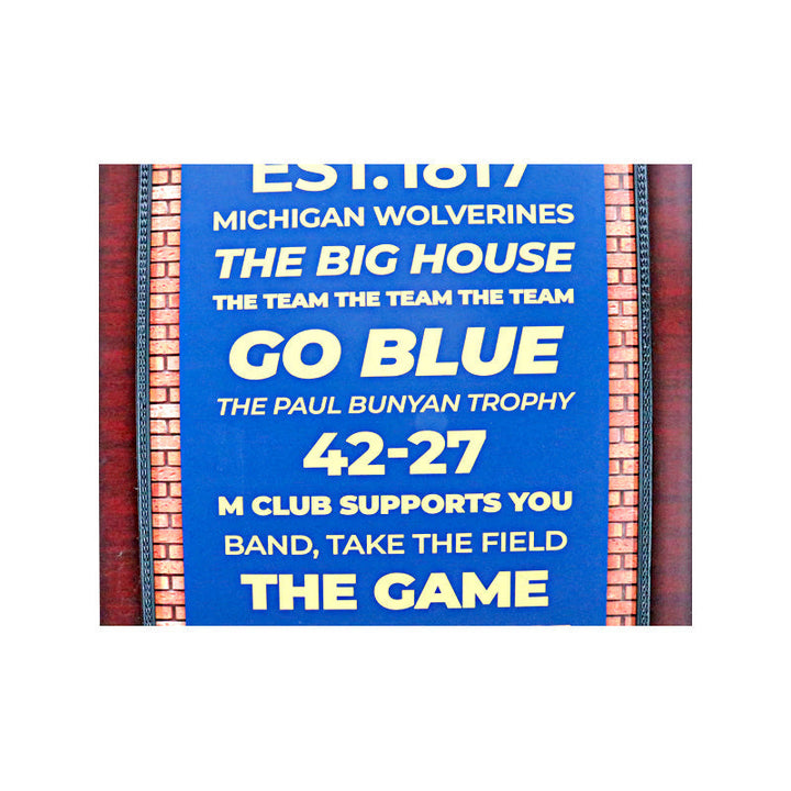 University of Michigan 16"x32" Framed Subway Sign