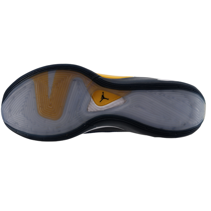 Nike Air Jordan Luka 1 Michigan Wolverines P College Navy