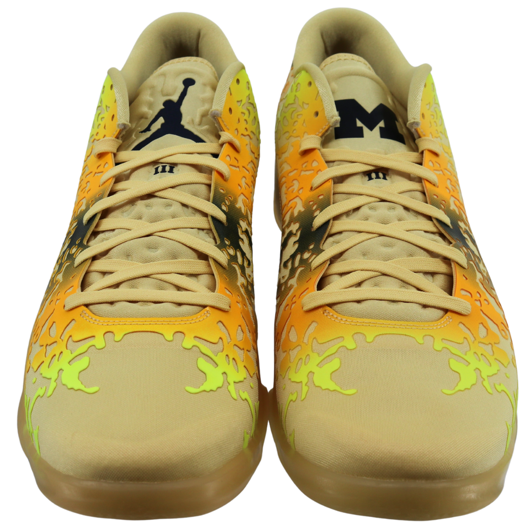 Nike Air Jordan Michigan Wolverines Zion 3 NRGP Amarillo