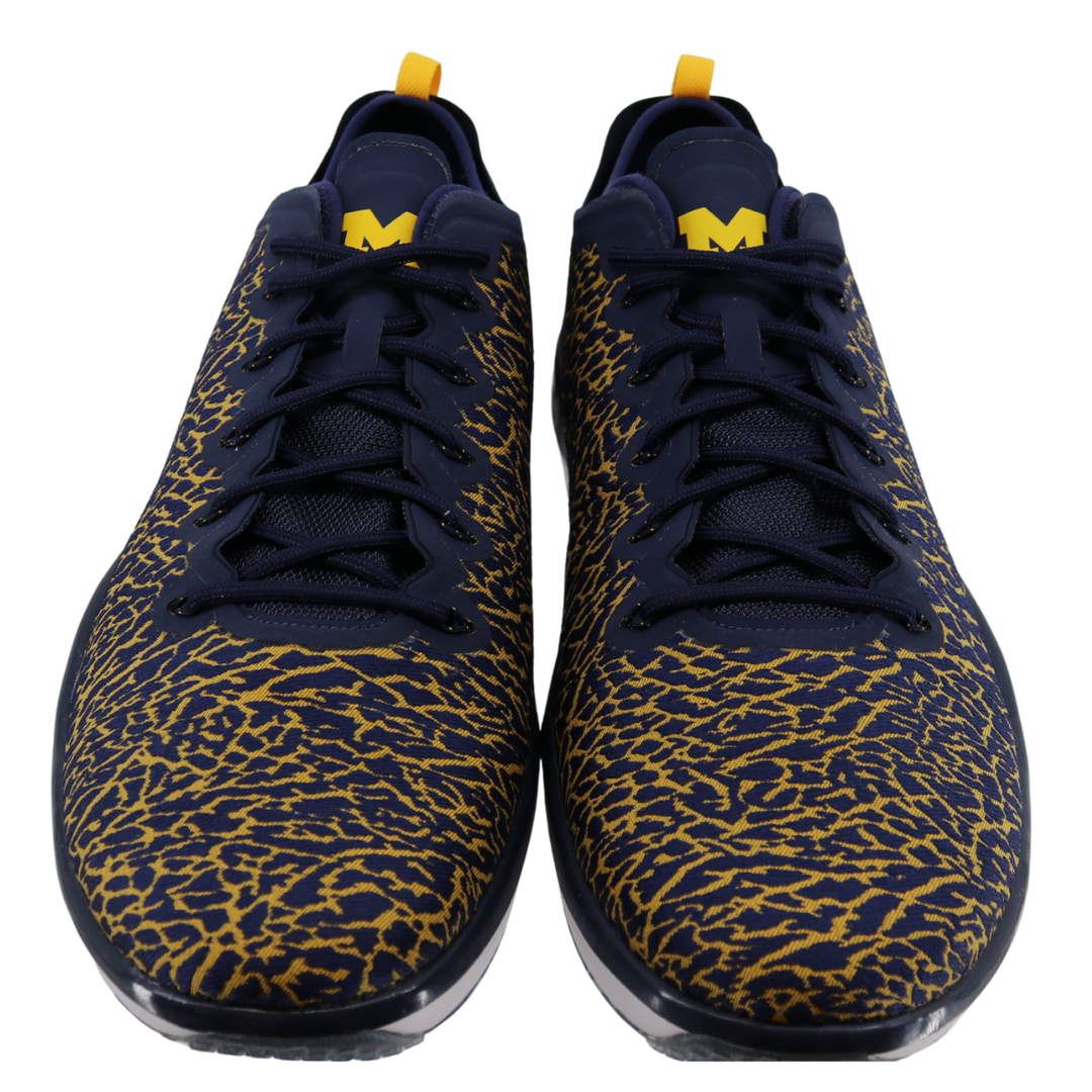 Nike Air Jordan Trainer 1 Low Cheetah Print