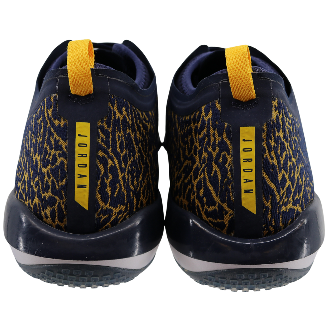 Nike Air Jordan Trainer 1 Low Cheetah Print