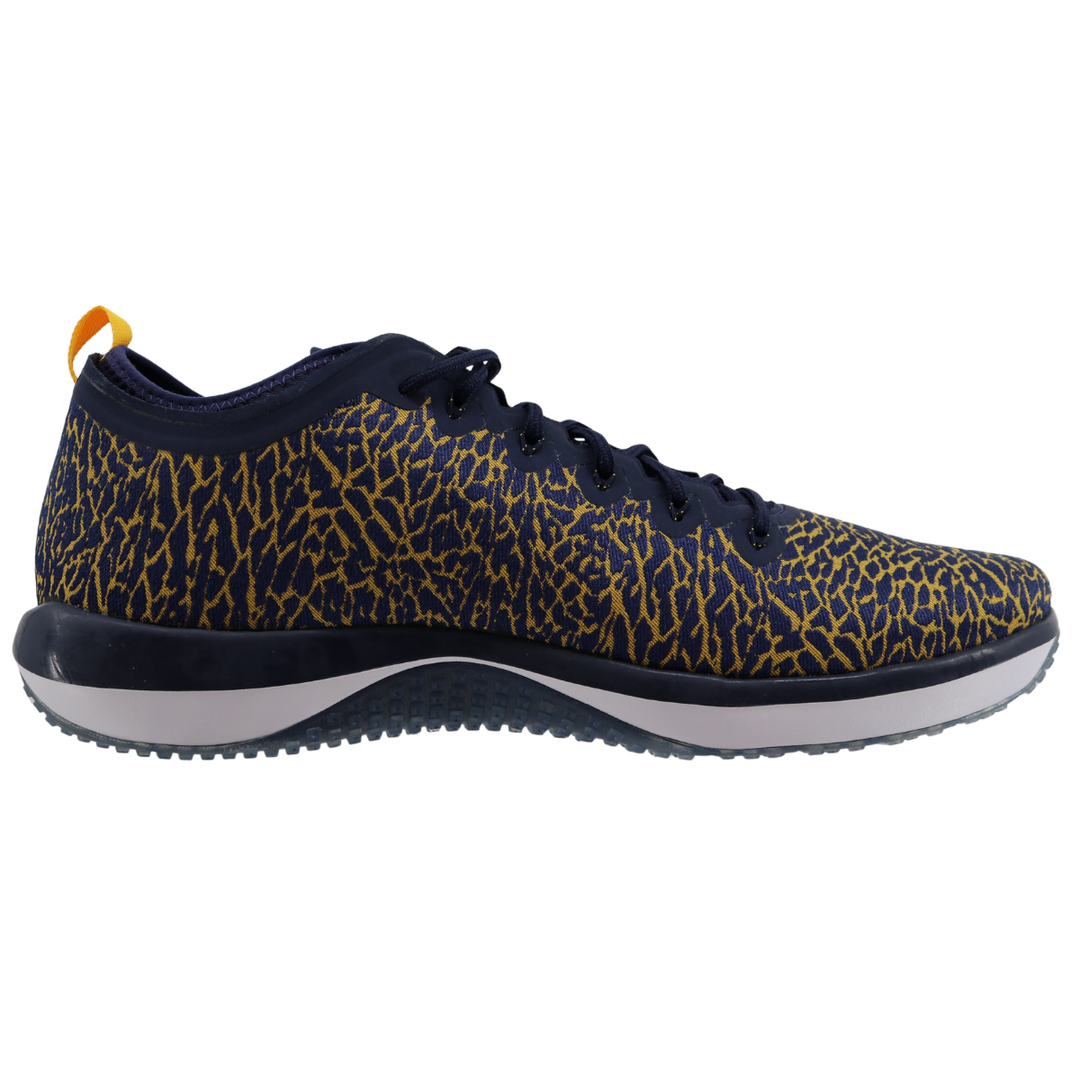 Nike Air Jordan Trainer 1 Low Cheetah Print