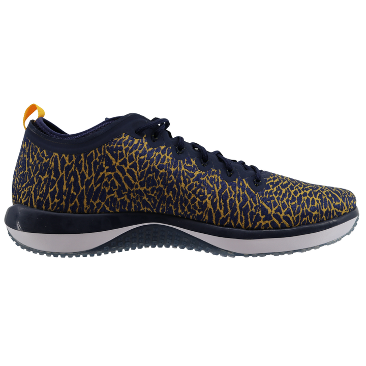 Nike Air Jordan Trainer 1 Low Cheetah Print