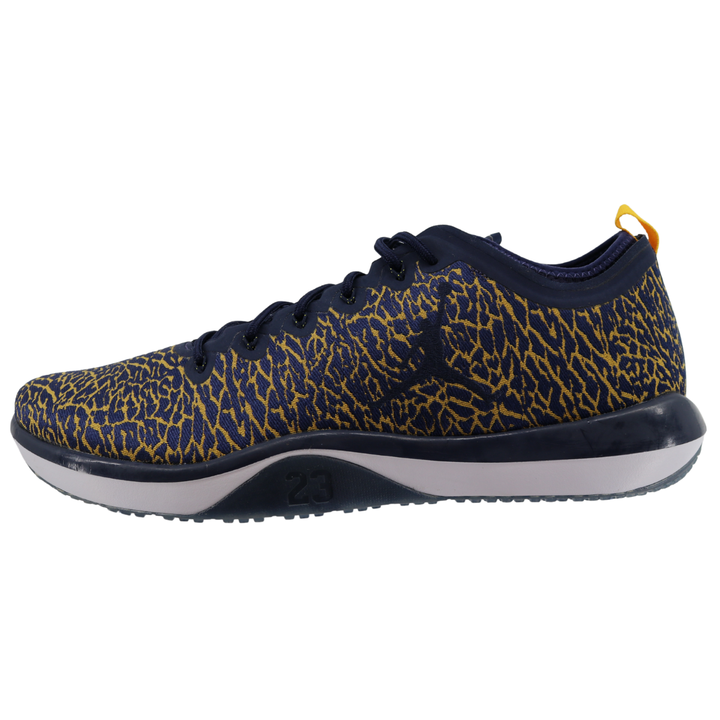 Nike Air Jordan Trainer 1 Low Cheetah Print