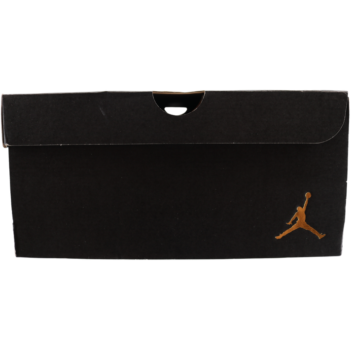 Nike Air Jordan Trainer 1 Low Cheetah Print
