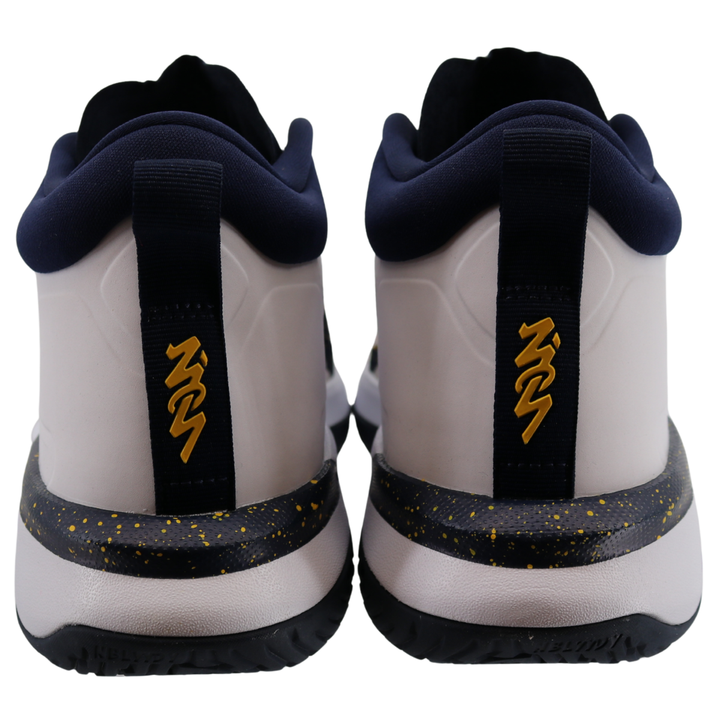 Nike Air Jordan Zion 1 Michigan Wolverines P White