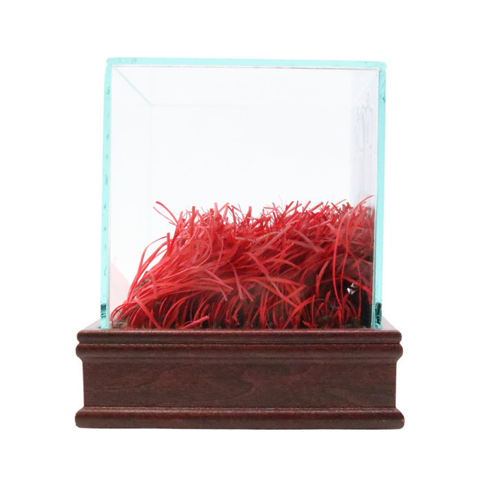 Ohio Stadium Piece of Authentic Red Endzone Turf in Desktop Display Case (Ohio State CX LOA)