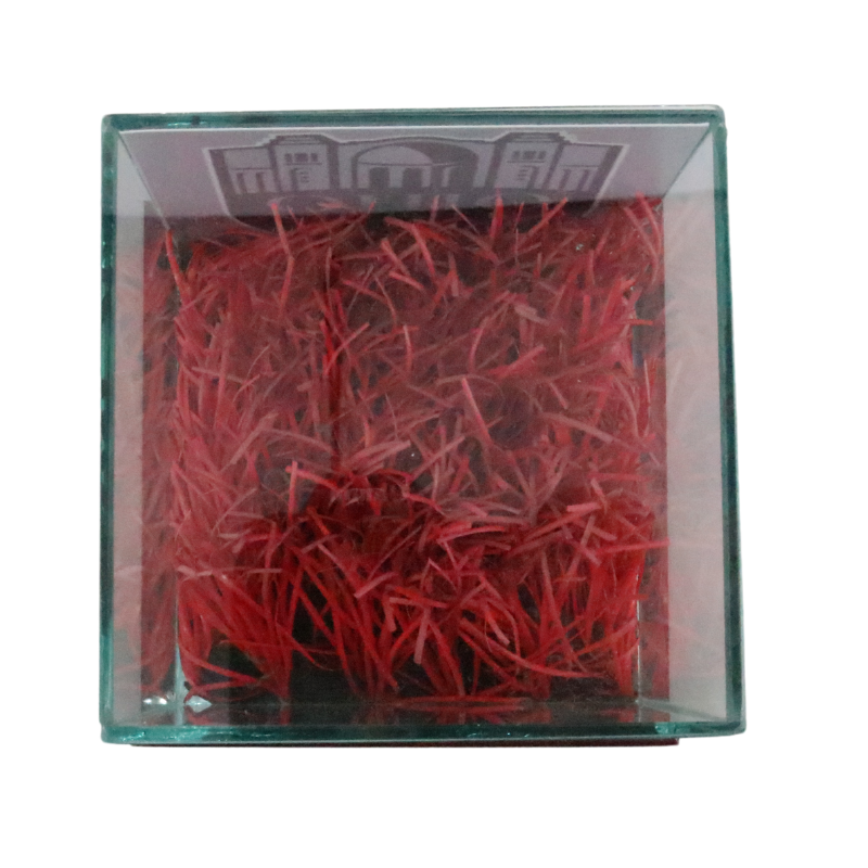 Ohio Stadium Piece of Authentic Red Endzone Turf in Desktop Display Case (Ohio State CX LOA)