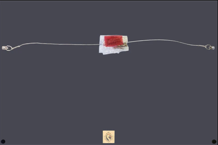 Prince and the Revolution Purple Rain Vinyl Record & Cover Professionally Framed 17.5 x 26.5 Display with a White Mat