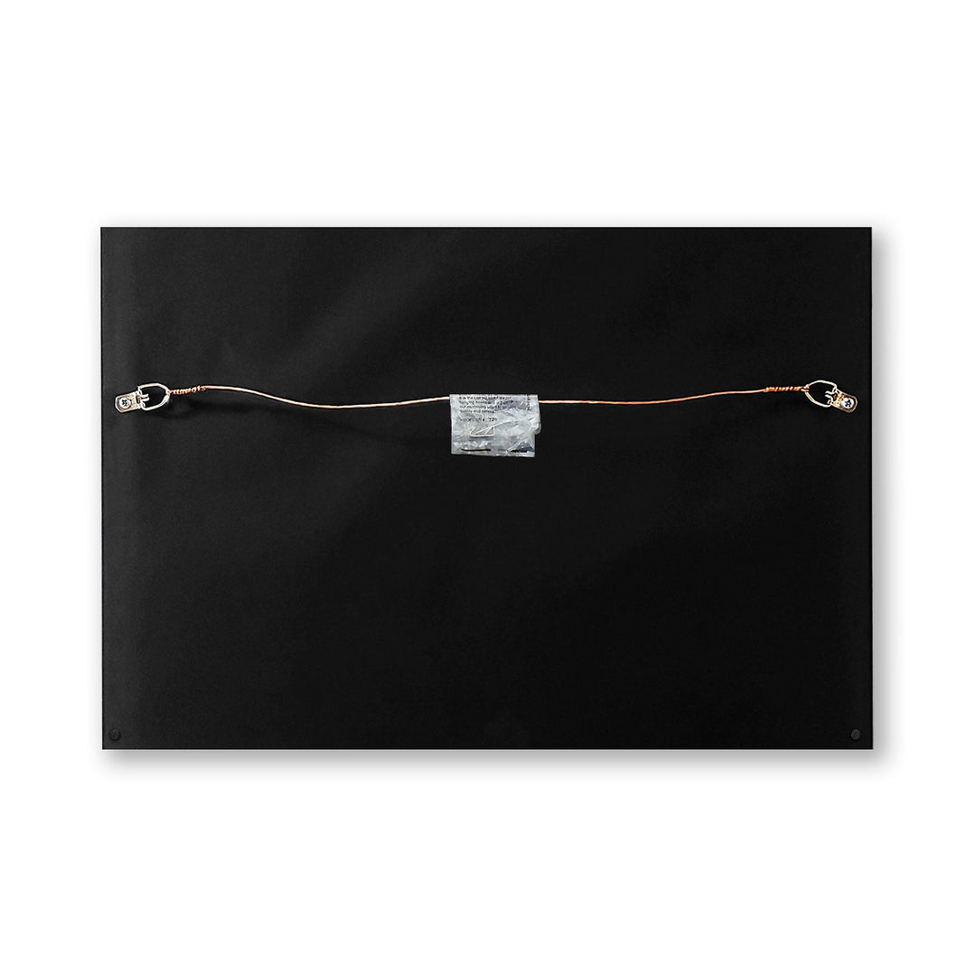 Skid Row Skid Row Genuine Silver Vinyl Record & Cover Professionally Framed Wall Display with a Black Mat