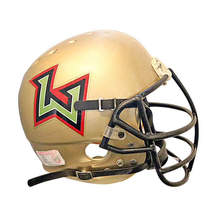 Ty Parten Las Vegas Outlaws 2001 XFL Game Used Helmet