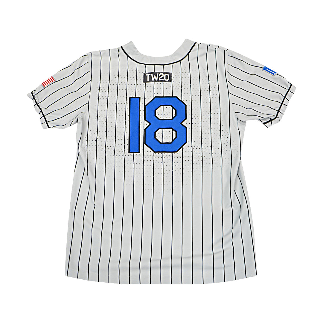 US Air Force Academy 2021 Game Issued Grey Pinstripe Sz L #18 Baseball Jersey