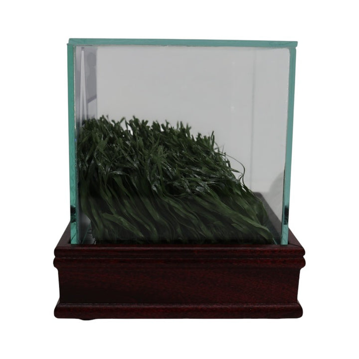 US Air Force Academy Authentic Piece of Falcon Stadium Turf with Case USAF/CX COA